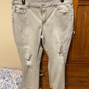 Lane Bryant gray distressed jeans 22 Capri